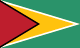 Гаяна flag