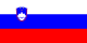 סלובניה flag