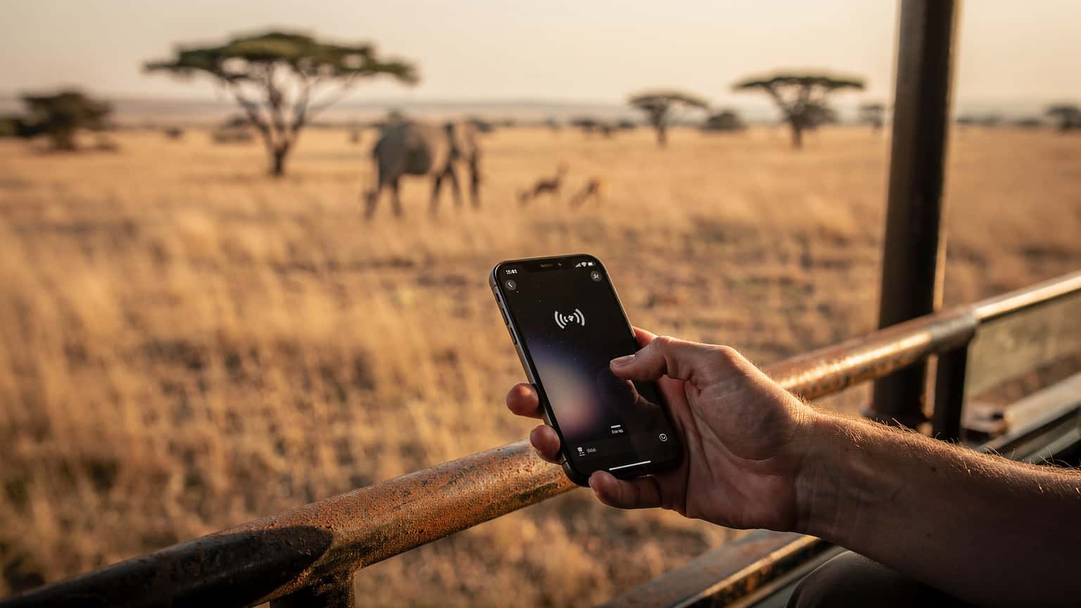 A photorealistic editorial image showing a traveler's hand holding a smartphone with a strong signal icon in a safari vehicle, overlooking the vast Serengeti plains with distant wildlife at golden hour.